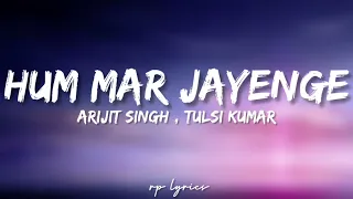 🎤Arijit Singh , Tulsi Kumar - Hum Mar Jayenge Full Lyrics Song | Aashiqui 2 |