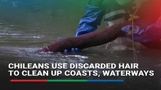 Chileans use discarded hair to clean up coasts, waterways | ABS-CBN News