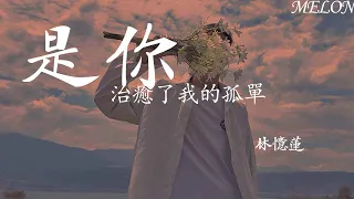 是你治癒了我的孤單-林憶蓮『你 消除我所有恐懼的未知，而你卻不自知 【動態歌詞Lyrics】