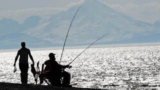 HOW TO CATCH HALIBUT FROM SHORE!!