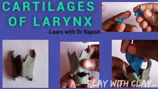 CARTILAGES OF LARYNX