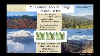 Western Forest Resilience: Which Way Forward?