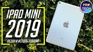 iPad mini 5 (2019): Планшет, который превзошел ожидания. Обзор и опыт использования