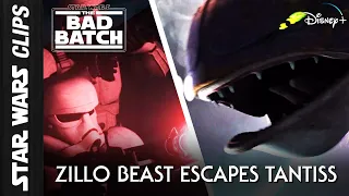 Zillo Beast Escapes Tantiss Base |  Star Wars Clips
