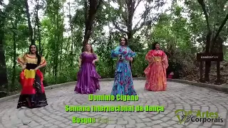 Domínio Cigano apresenta na Semana Internacional da Dança / Malaguena Salerosa