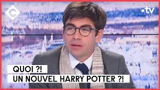 Harry Potter et la réforme des retraites - L’ABC - C à Vous - 23/01/2023