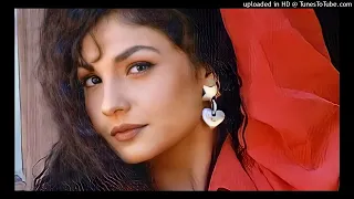 Milte Milte Haseen Wadiyon Mein || Junoon - 1992 || Anuradha Paudwal || 90's Romantic Love Song