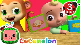 Picnic at the Park (Lunch Box Song) | Cocomelon - Nursery Rhymes | Fun Cartoons For Kids