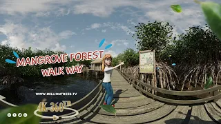 360 Virtual Reality 3D ----VR animated girl Bellasini - Mangrove Forest