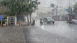 Super Heavy Rain and strong winds in my Village | very cold, Sleep instantly with the sound of rain