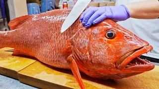 Sharp Teeth！Red Snapper Fish Cutting Skills, Port Fish Auction Market / 尖銳的牙齒！紅糟魚切割技巧, 烤魚下巴 - 台灣美食