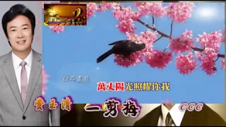 费玉清    一翦梅~HD~KTV