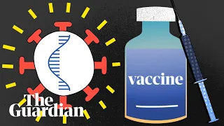 What's in a vaccine and what does it do to your body?