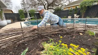 DIY Wattle Fence Attempt #2! 😆 Building a Fence Around My Kitchen Garden!