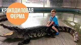 "Крокодиловая ферма" в Паттайе!!!))Голова в пасте крокодила!!!!