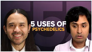 Psychiatrist explains 5 Uses of Psychedelics