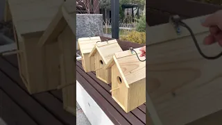 СКВОРЕЧНИК своими руками | BIRDHOUSE diy