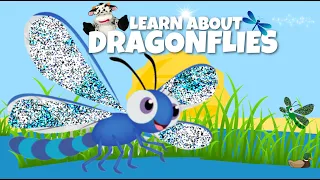 Dragonflies: The Mysterious Creatures of Nature