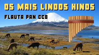 Hinos FLAUTA PAN BOLIVIANA / Hinos CCB  Harpa Cristã