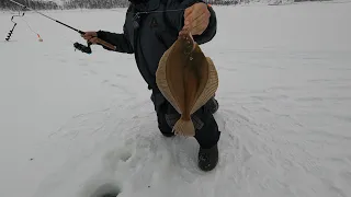 ЗИМНЯЯ МОРСКАЯ РЫБАЛКА СО ЛЬДА В БАРЕНЦЕВОМ МОРЕ / WINTER SEA FISHING