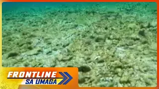 Mga coral sa ilalim ng Escoda at Rozul Reef, halos ubos at sira-sira na nang sisirin ng PCG