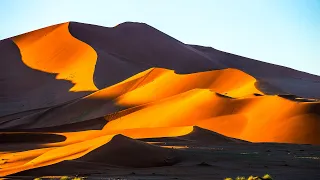 The Largest Sand Dunes In the World: Surviving The 1000-foot Dunes | Tracks