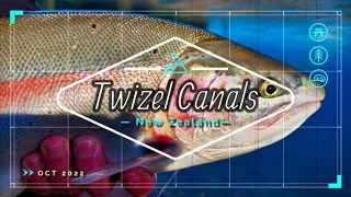 Fishing Twizel Canals, South Island New Zealand