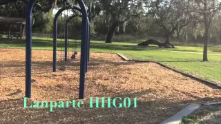 Lanparte HHG-01 vs Mini Tripod Video Stabilization Test