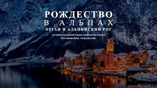 Рождество в Альпах. Орган и альпийский рог – концерт в Соборе на Малой Грузинской