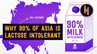 Why 90% of Asians are Lactose Intolerant