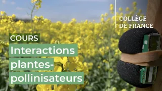 Interactions plantes-pollinisateurs : hier, aujourd’hui et demain (6) - E. Porcher (2023-2024)