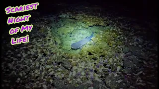 Scary Noise While Fishing Sacred Grounds at Night / Caught my First Shark Solo in Hawaii