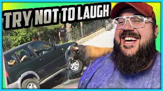 This Try Not To Laugh Challenge Scared ME! | Funny Scary Animal Encounters