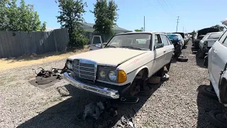 1983 Mercedes-Benz W123 at Junkyard