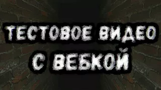 ТЕСТОВОЕ ВИДЕО С ВЕБКОЙ XD (SCP-087-B)