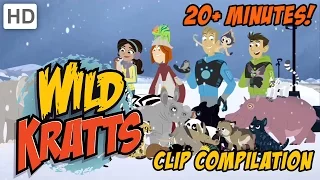 Wild Kratts - Happy Holidays Winter Clip Compilation (20+ Minutes)