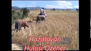 2000 Yılında Durağan da Orak Biçimi