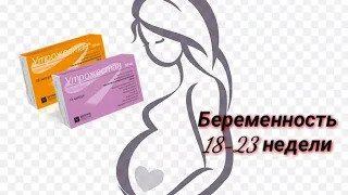 Беременность 18-23 недели. Второе УЗИ. Узнали пол ребёнка