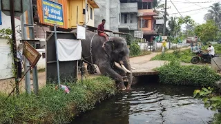 അവൻ വെള്ളത്തിൽ ചാടി! അക്കാവിള വിഷ്ണുനാരായണൻ!