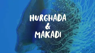 2023/08 - Red Sea Diving in Hurghada & Makadi 4K