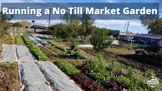 Running a No Till Market Garden - Challenges & Tips!