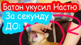 VLOG Катя упала с велосипеда