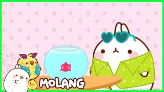 Molang - The Goldfish | #cutecartoon #funnycartoon Cartoon for kids