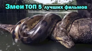 Змеи ТОП 5 лучших фильмов