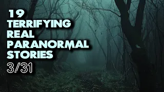 19 Terrifying Real Paranormal Stories - The Vanishing Woods