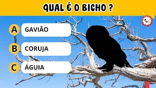 Desafio Animal: Consegue Adivinhar Todos Esses Bichos pela Sombra? 🐾 #adivinhepelasombra quiztime