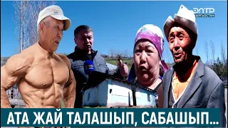 АТА ЖАЙ ТАЛАШЫП, САБАШЫП…