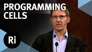 The cell programming revolution – with Mark Kotter