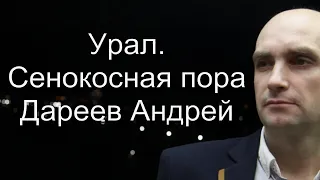 ВЫСТАВКА ОДНОЙ КАРТИНЫ. ХУДОЖНИК Андрей Дареев