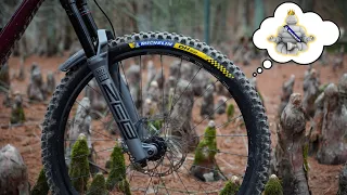 The King Of MTB Tires | Michelin DH22 Review